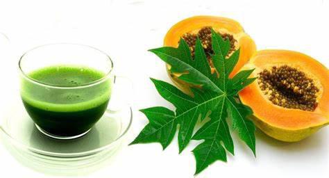 Papaya - A Super Food To Increase Your Blood Platelets